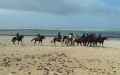Balade-a-cheval-20131020212220.jpg