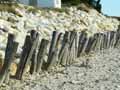 Barriere-de-protection-de-dunes-en-bois-20120822165543.jpg