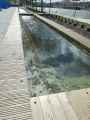 Bassins-miroirs-en-canal-20130427213016.jpg