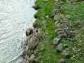 Berge-inondable-avec-enrochements-20130427213117.jpg