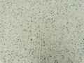 Beton-desactive-a-gravier-noir-et-blanc-20130709135736.jpg