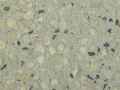 Beton-desactive-a-gravier-noir-et-blanc-20130709135800.jpg