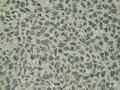 Beton-lave-a-gravier-noir-20130709140034.jpg