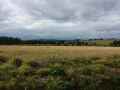 Bocage-20131020185615.jpg