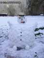 Bonhomme-de-neige-20120822230846.jpg