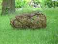 Boule-de-fers-a-beton-20130709195526.jpg