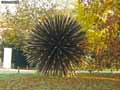 Boulle-de-crayons-geants-20120822191243.jpg