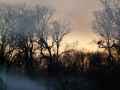 Brume-au-soleil-couchant-20131020220303.jpg
