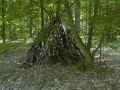 Cabane-dans-les-bois-20131020184609.jpg