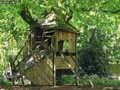 Cabane-en-bois-20120817184944.jpg