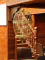 Cage-a-oiseaux-20131021000150.jpg