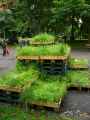 Cagettes-vegetales-20120817183257.jpg