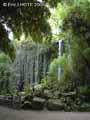 Cascade-au-zoo-de-Doue-la-Fontaine-20120822172748.jpg
