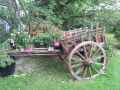 Charette-plantee-20120822181400.jpg