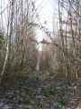 Chemin-dans-un-perchis-20131020232138.jpg