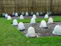 Cloches-a-melons-20131020233523.jpg
