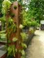 Colonne-vegetale-metallique-20120817183042.jpg