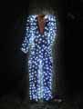 Costume-lumineux-20120822231553.jpg
