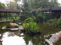 Cour-japonaise-a-Vincennes-20130709131604.jpg
