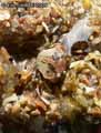 Crabe-20120822213534.jpg