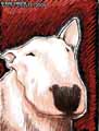 Dessin-de-bull-terrier-20120822231424.jpg
