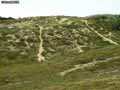 Dune-a-Oleron-20120822173220.jpg