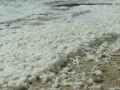 Ecume-20131026132718.jpg