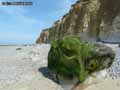 Falaise-a-Sotteville-sur-mer-20120822172414.jpg