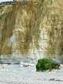 Falaise-a-Sotteville-sur-mer-20120822173231.jpg