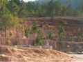 Falaise-en-espaliers-20131020224911.jpg