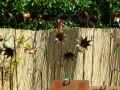 Fleurs-en-metal-20130427221625.jpg