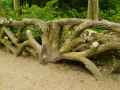 Garde-corps-en-rocaille-beton-20130709141728.jpg