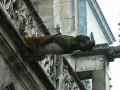 Gargouille-20131020215254.jpg