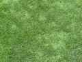 Gazon-synthetique-20130709141846.jpg