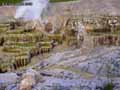 Geysers,-fumerolles-et-fossiles-a-Disneyland-20120822210302.jpg