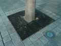 Grille-d-arbre-20131026131919.jpg