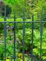 Grille-de-cloture-avec-fleches-20130709140527.jpg