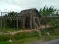 Hutte-en-construction-20131020230613.jpg