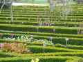 Jardin-botanique-avec-carres-de-buis-tailles-20130427212805.jpg