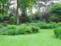 Jardin-de-vivaces-a-Vincennes-20130709200402.jpg