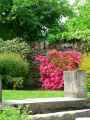 Jardin-du-Roi-de-Rome-20131020232829.jpg