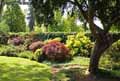 Jardin-japonais-20120822173843.jpg