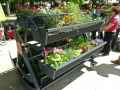 Jardiniere-a-aube-20130709191622.jpg