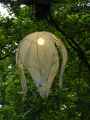 Lampion-20120822180719.jpg