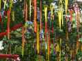 Landart,-fanions-colores-20120822180814.jpg