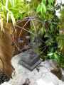 Lanterne-20130709191202.jpg