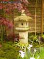 Lanterne-chinoise-20120822190730.jpg