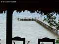 Le-paradis-sur-terre-20120822171928.jpg