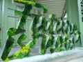 Lettrage-vegetalise-20130709195055.jpg