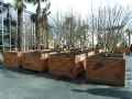 Lilas-des-Indes-en-caisses-bois-20131020234332.jpg